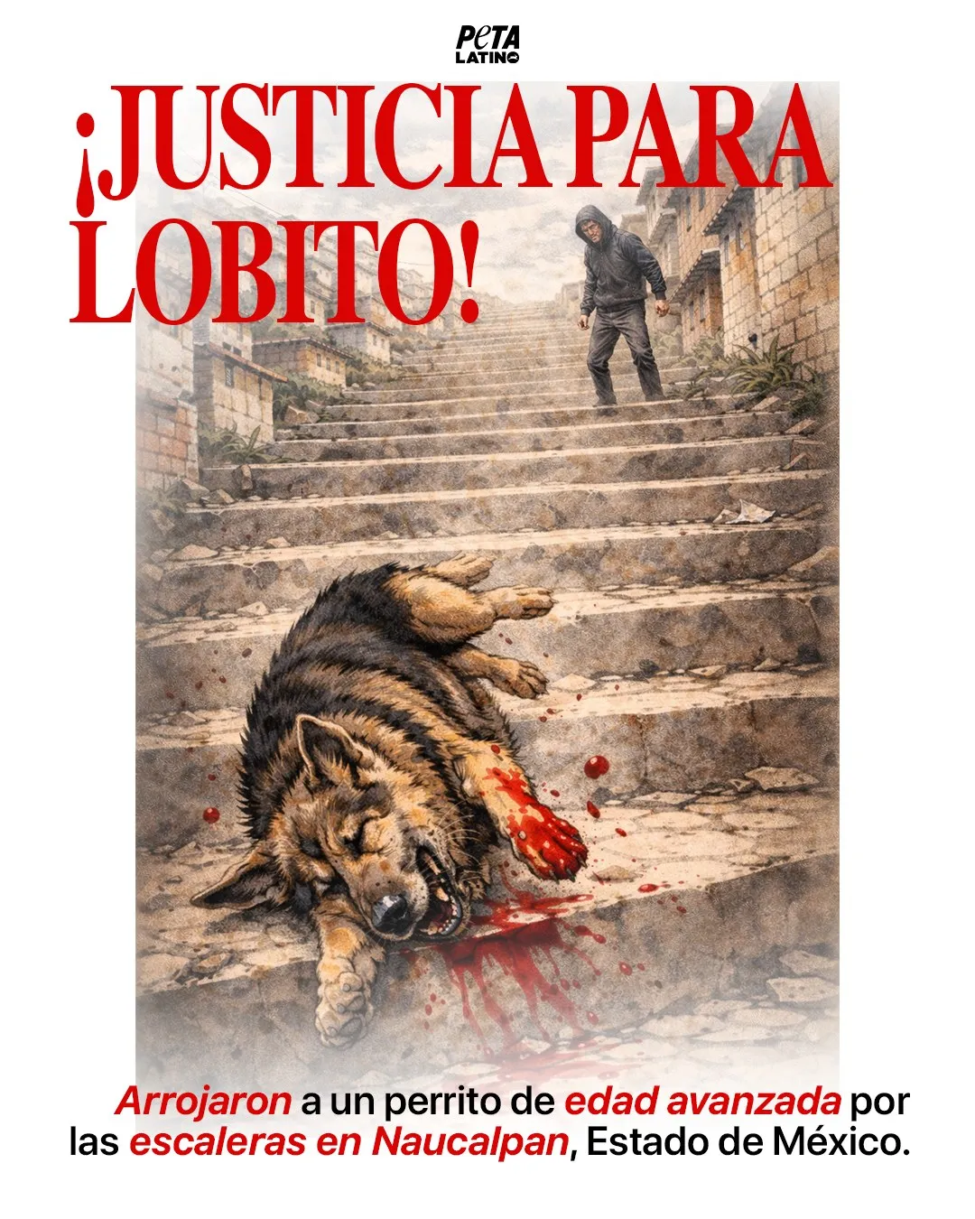 Demente lanza a perro por escaleras