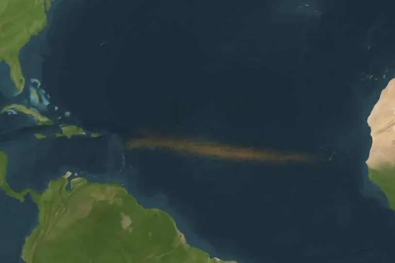 ¡Se viene oleada histórica de sargazo!