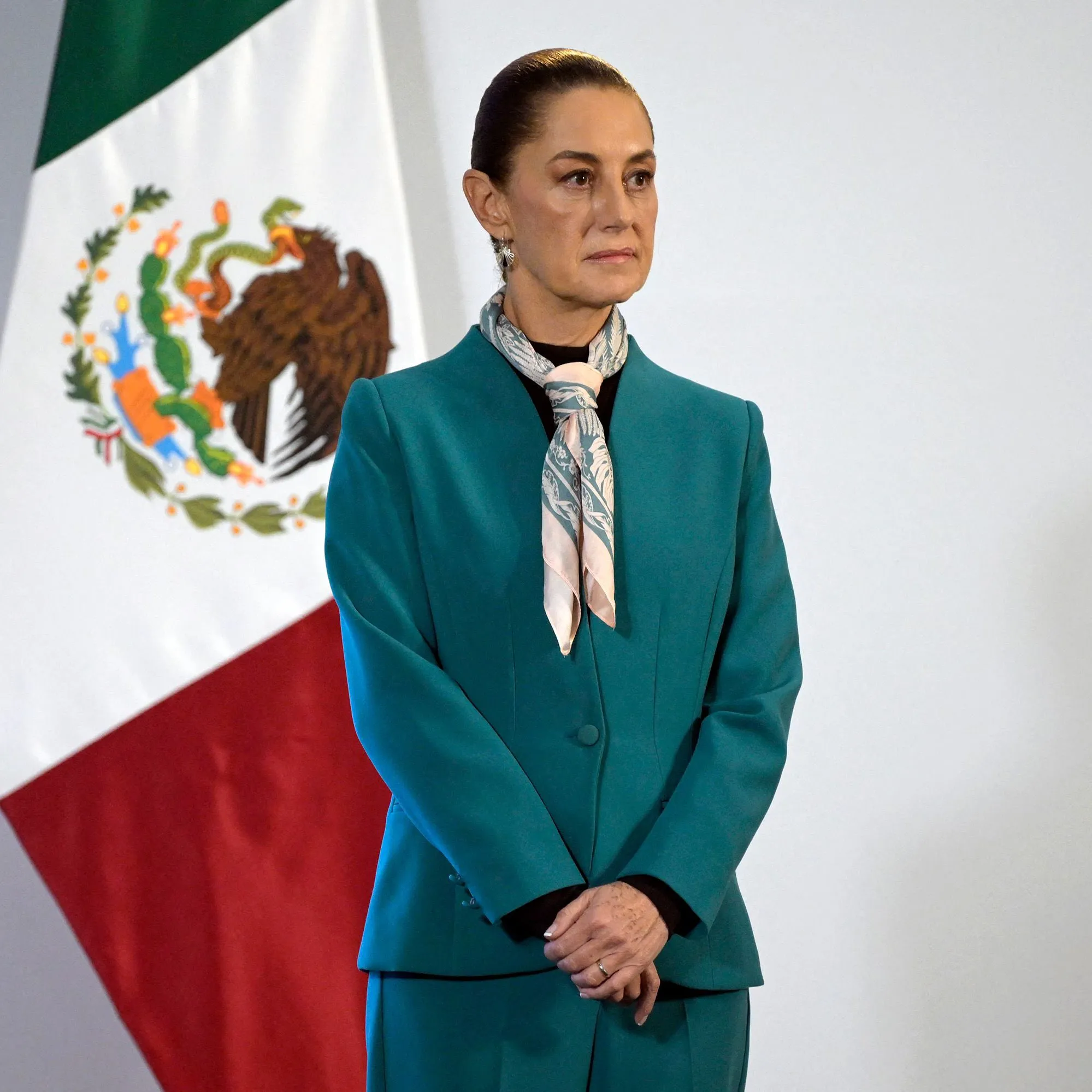 Sheinbaum impone a sus aliados una reforma electoral