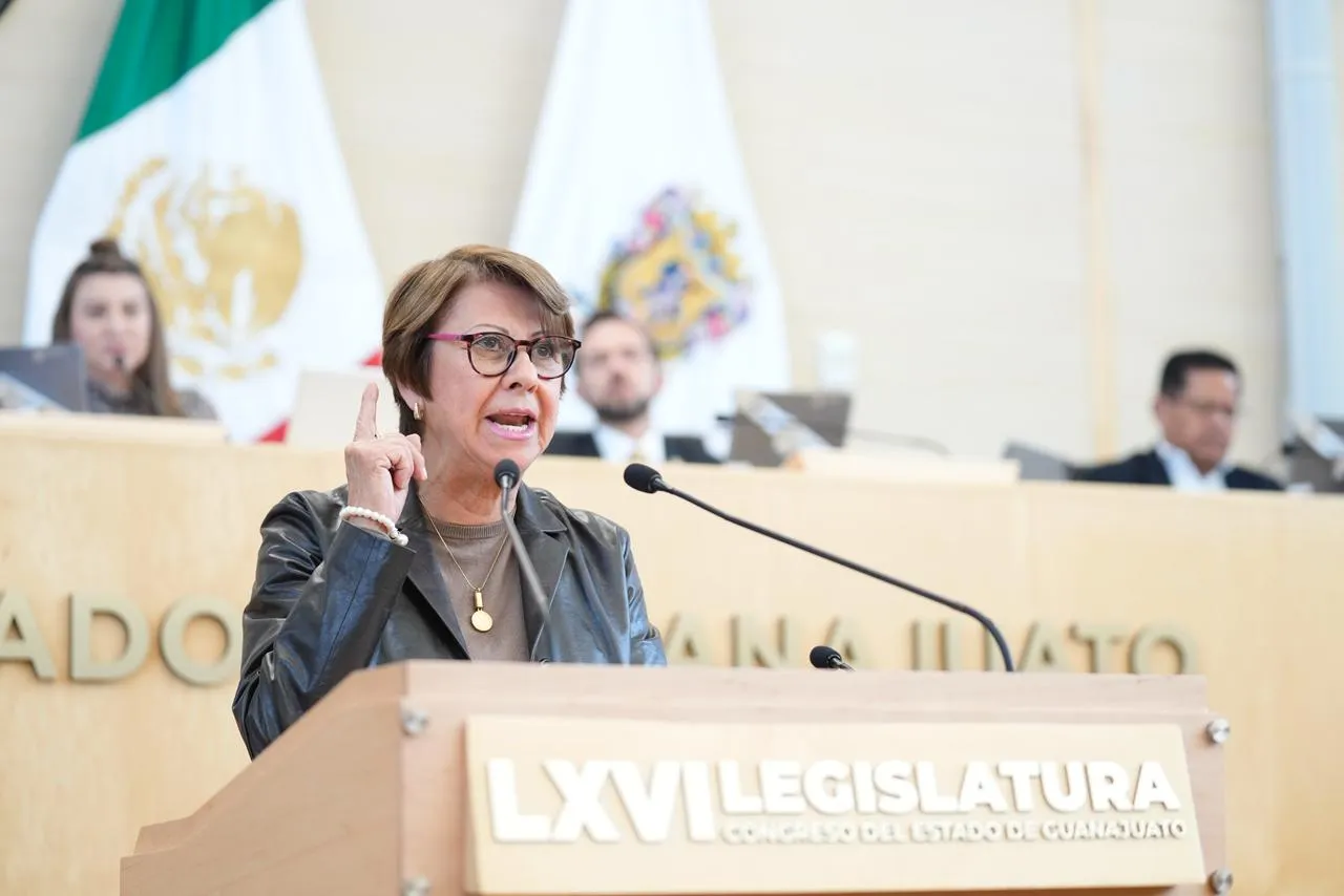 Hospital de Alta Especialidad de León, da pena