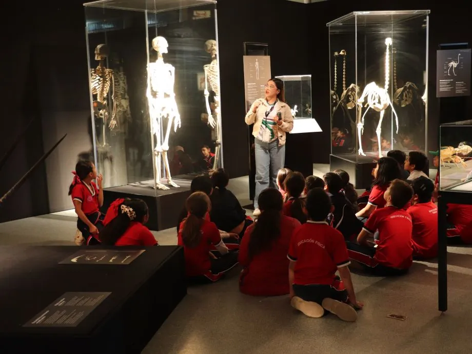 Un éxito la expo ciencia en Explora