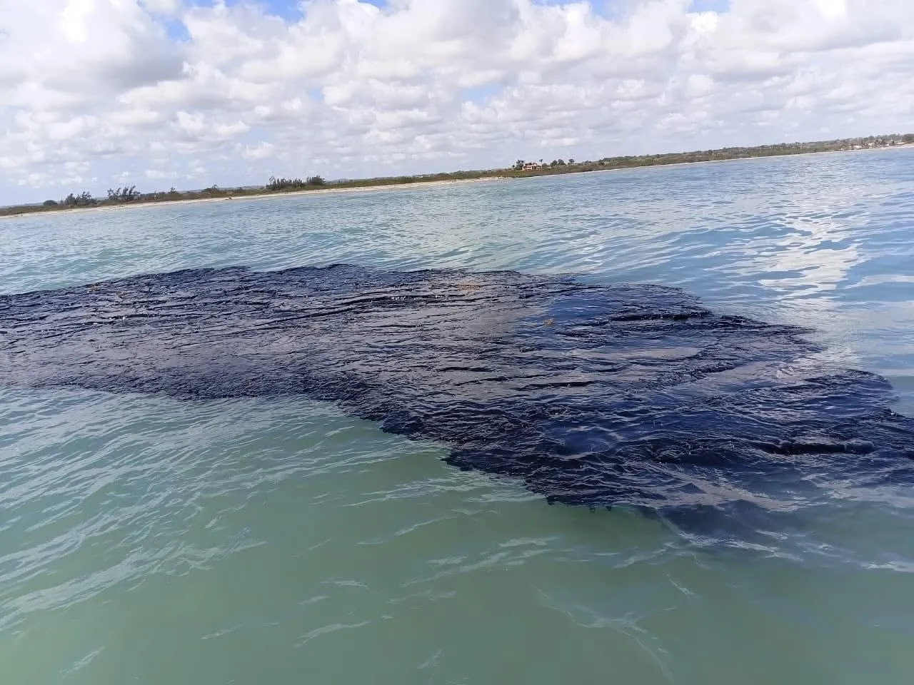 Derrame petrolero llega ya a Tamaulipas