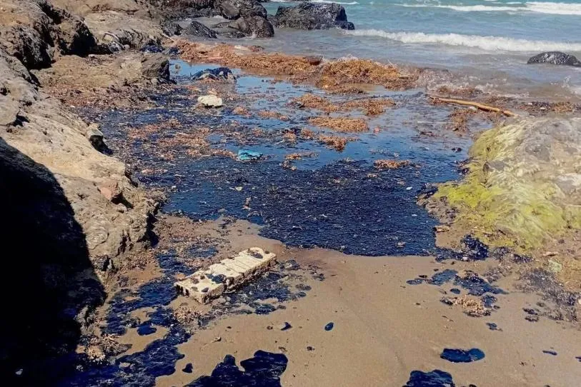 Chapopote cubre 230 kilómetros de litoral en Veracruz y Tabasco