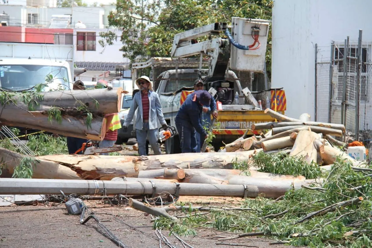 Limpia Irapuato desastre por tormenta