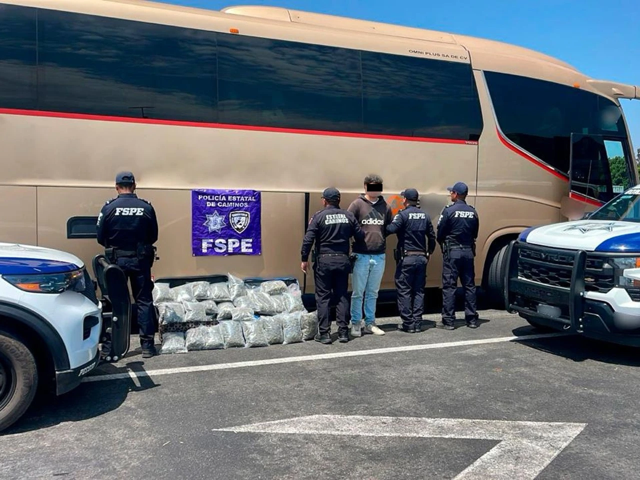 Aseguran enorme cargamento de marihuana 