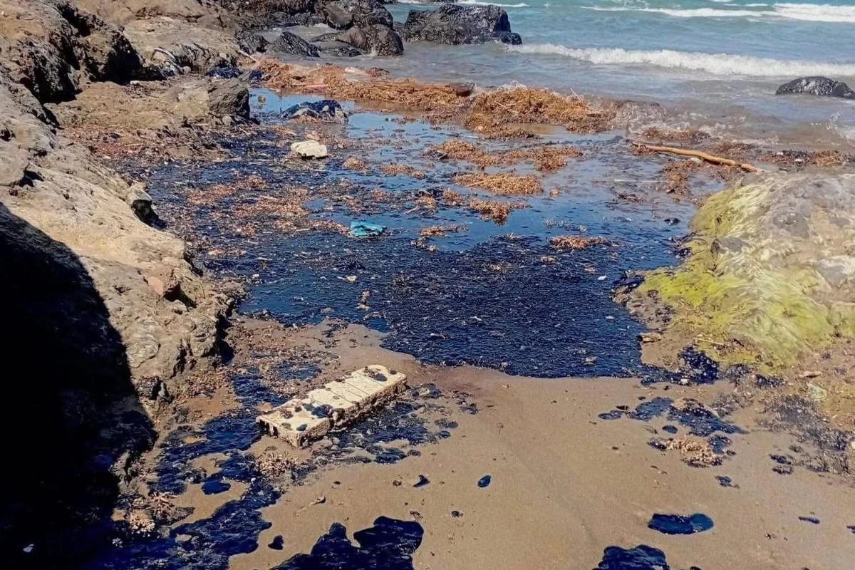 Cese de funcionarios en Pemex es insuficiente ante ecocidio, acusan ONG