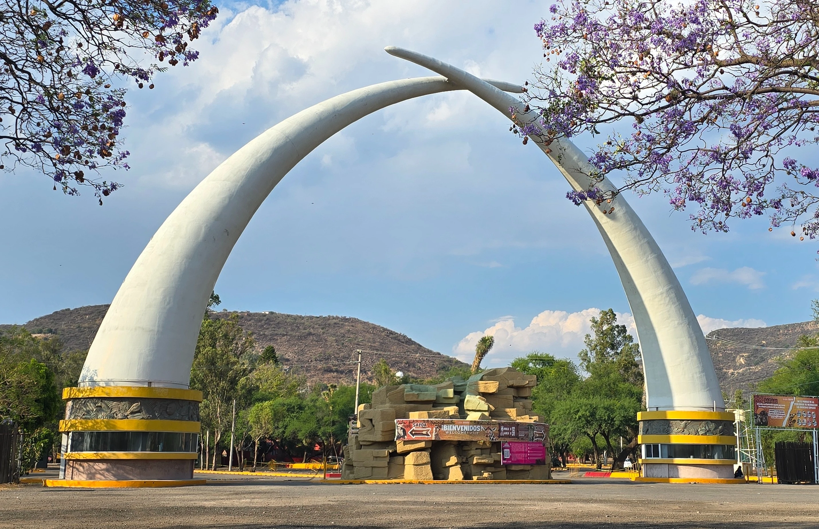 Cierra Profepa Zoo León