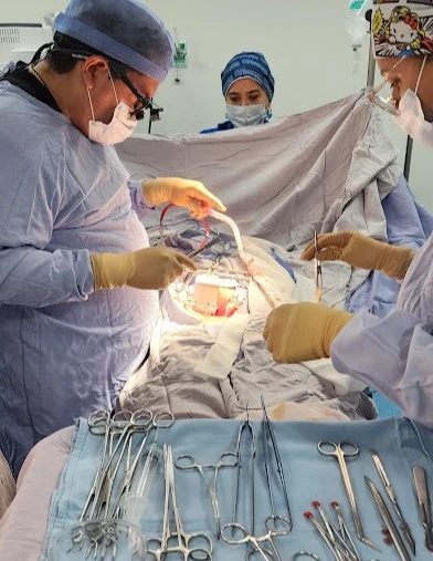 Guanajuato, en el top 5 de trasplantes