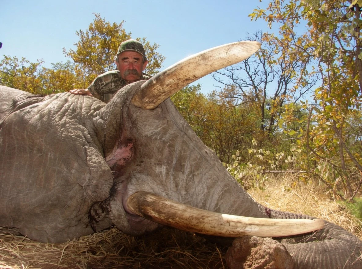 Elefantes emboscan y matan a cazador para proteger a una cría