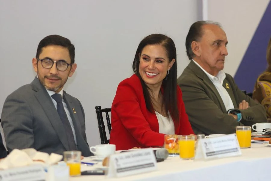 Palomean comerciantes proyectos de Ale Gutiérrez