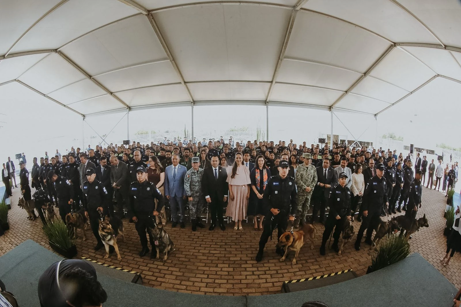 Jubilan a perros policía