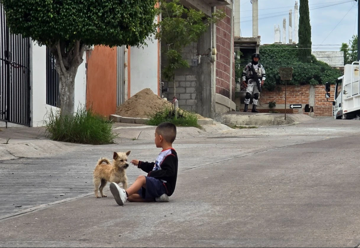 Gusano barrenador ataca a perritos de Guanajuato