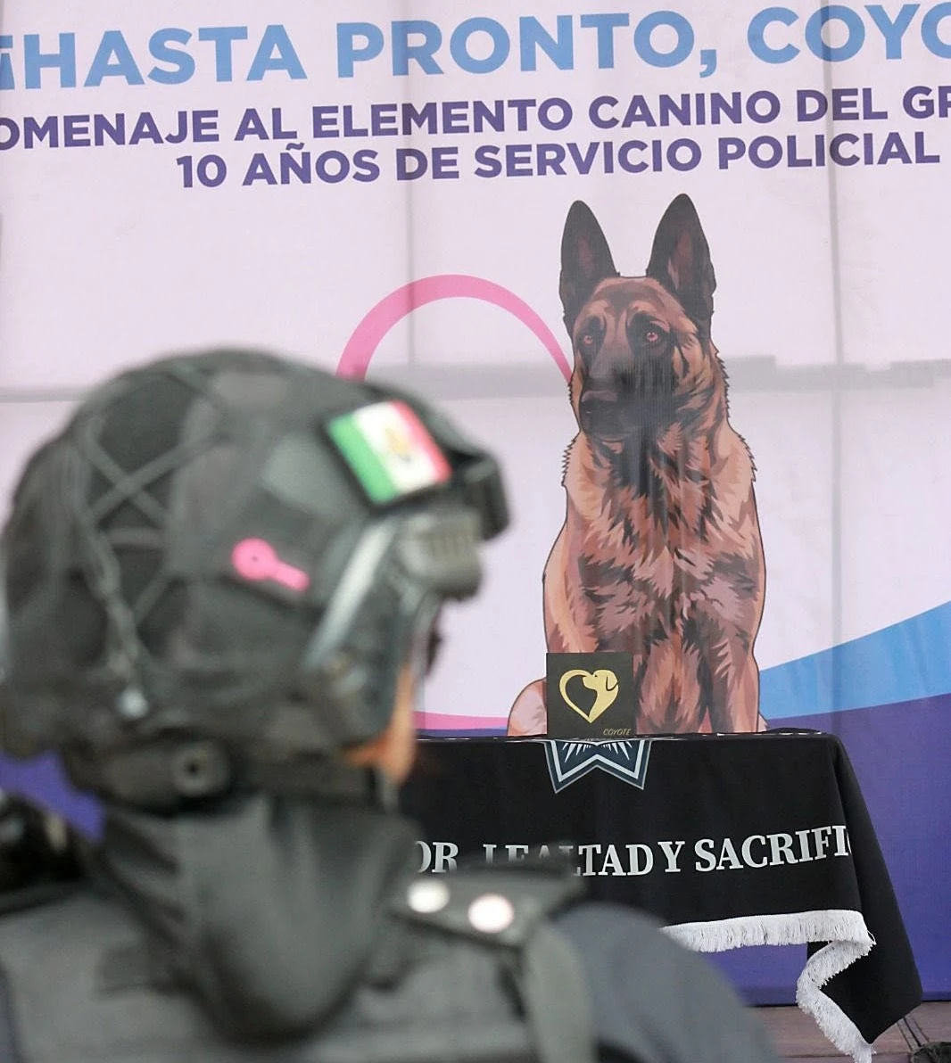 Muere 'Coyote', perro policía