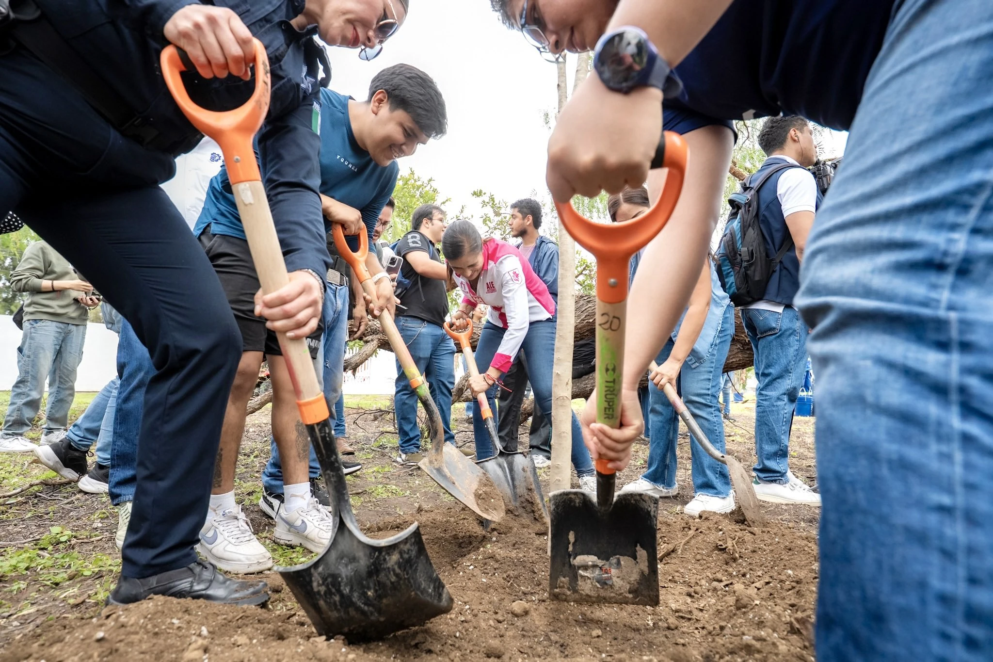 Ante deforestación, León busca soluciones