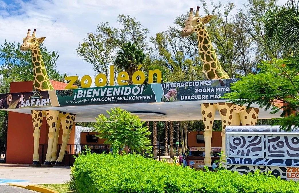 Por acoso sexual acusan a supervisor del Zoo León