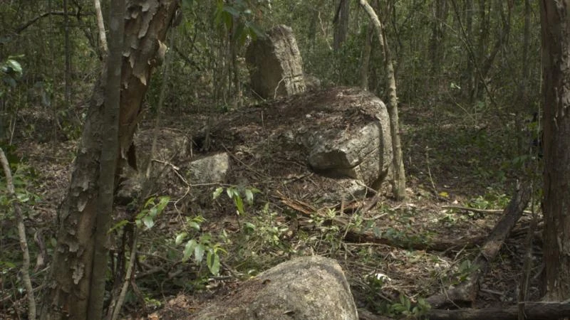 Revelan detalles de Minanbé, ciudad perdida en la jungla