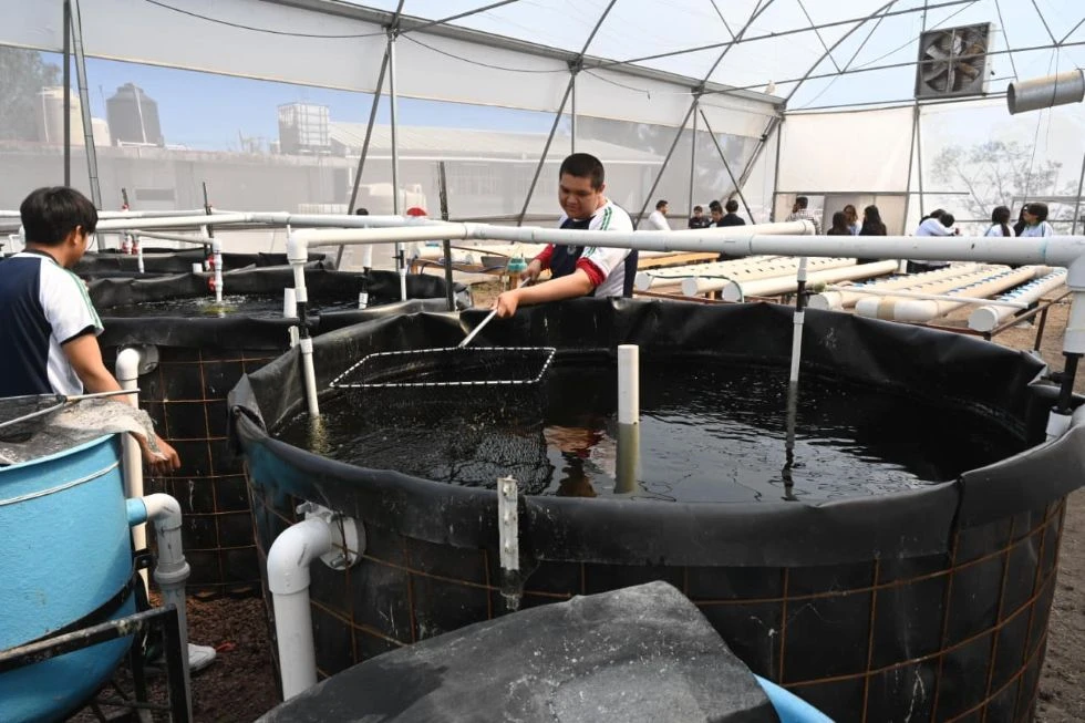 Capital Fresera reconoce problemas climáticos