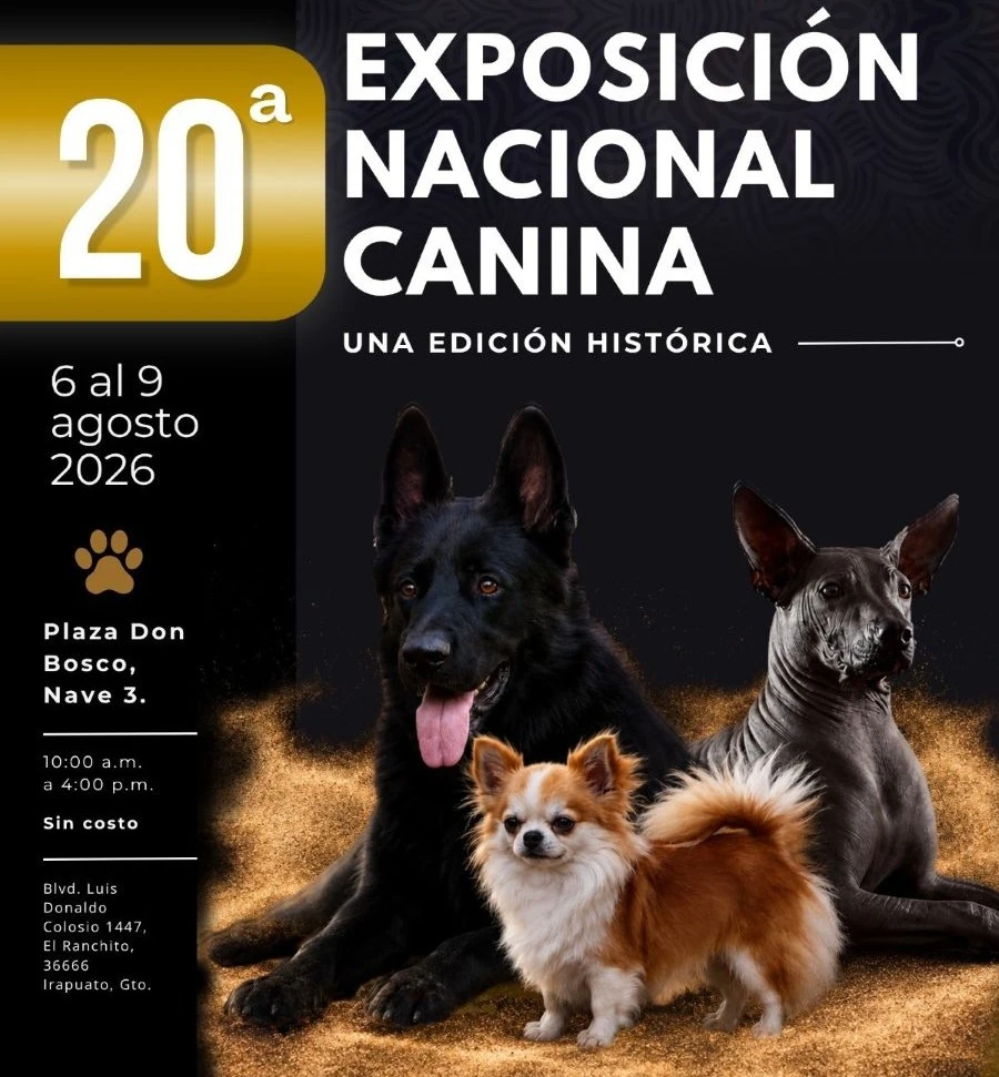 Es Capital Fresera amiga de perritos
