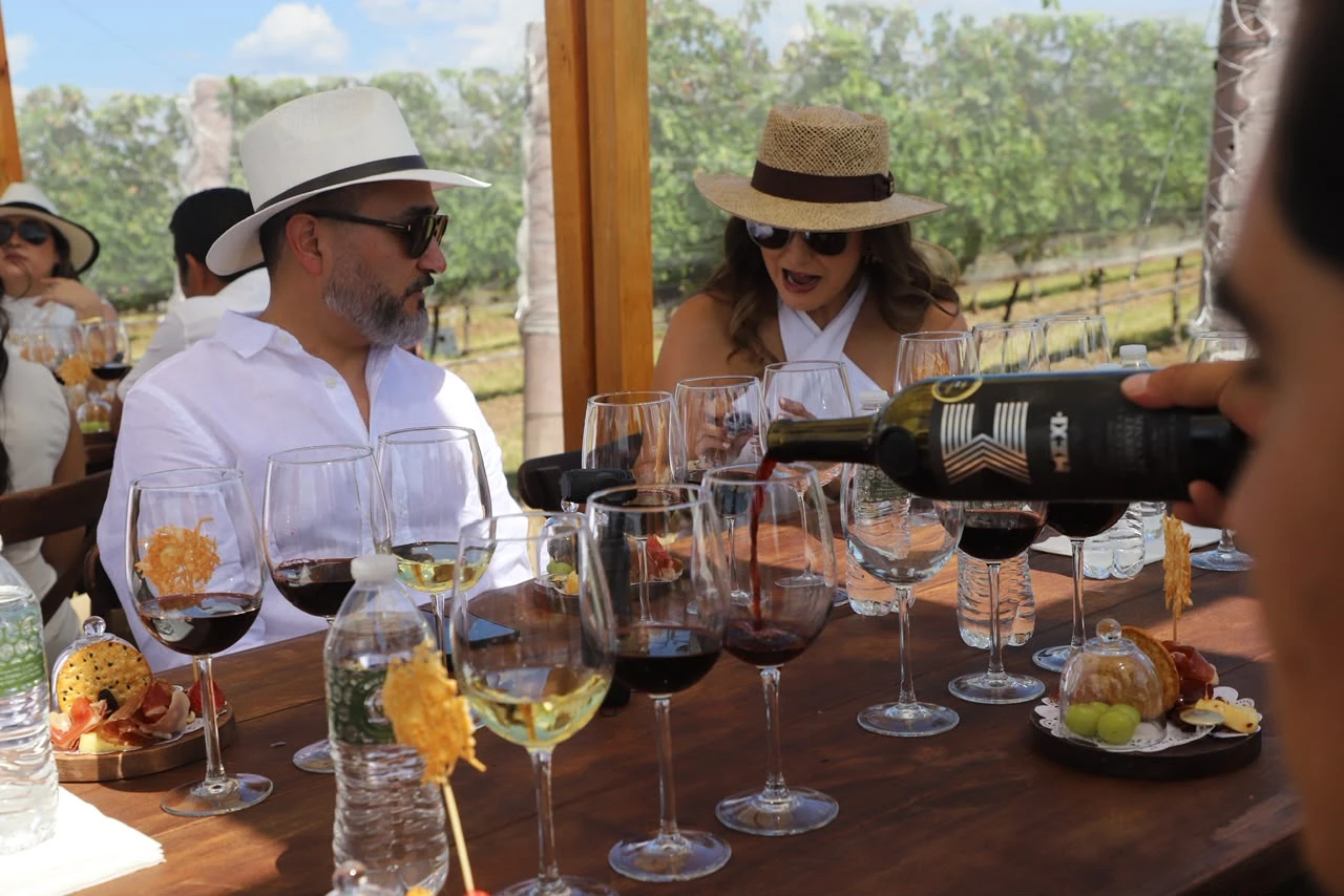 Guanajuato, uno de los estados más premiados por sus vinos