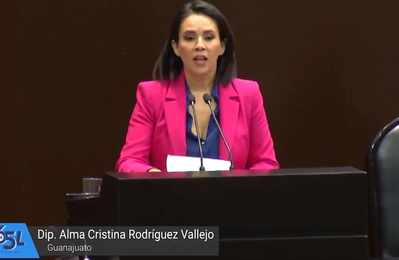 Hermana de Diego Sinhue será Senadora