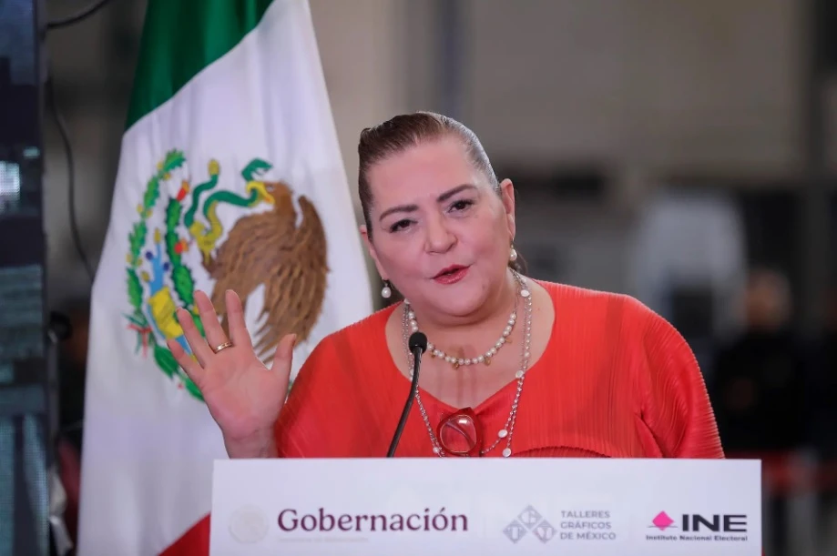 Guadalupe Taddei renuncia al INE