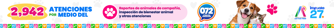 Publicidad
