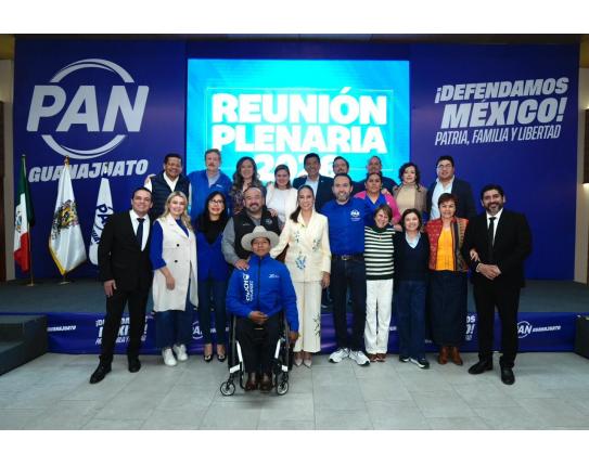 Concreta PAN plenaria