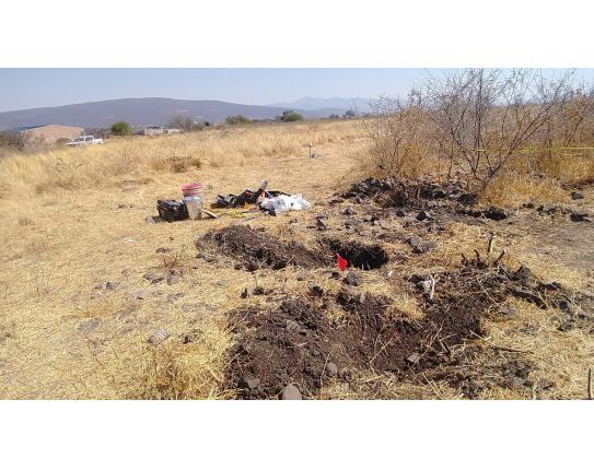 Hallan fosa clandestina con 20 cuerpos
